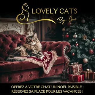 LovelyCats est un service professionnel de garde de chats à votre domicile!