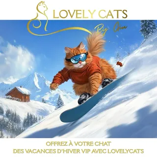 LovelyCats est un service professionnel de garde de chats à domicile.