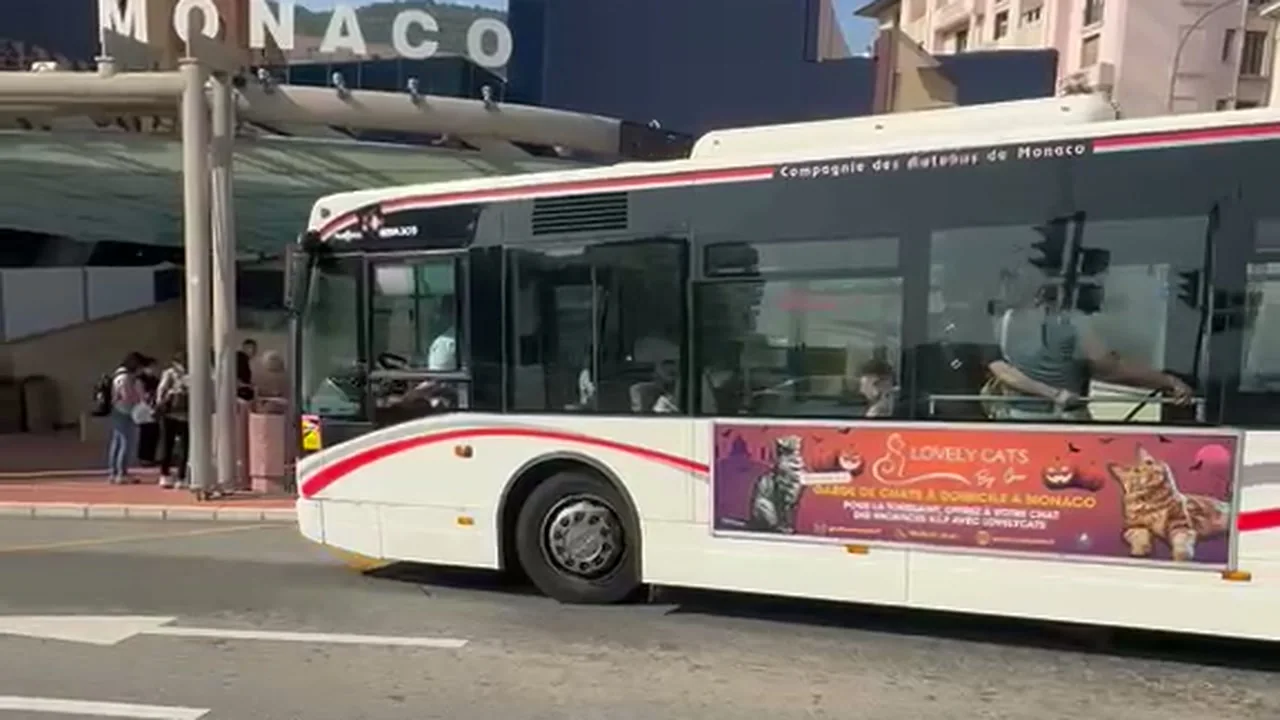 Publicité LovelyCats sur un autobus de Monaco · Vacances de la Toussaint
